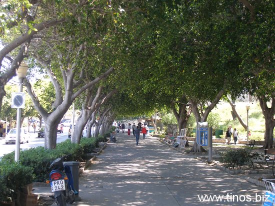 rodos 018